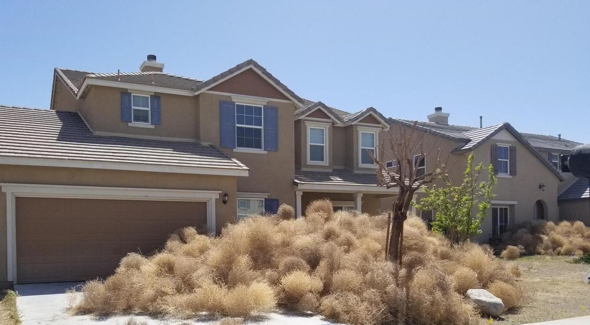 Tumbleweed invasion in Victorville, residents call for help
