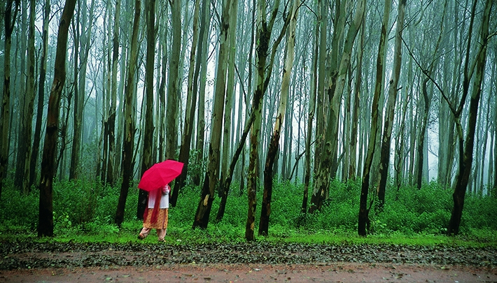 Pachmarhi- The Queen of Satpura