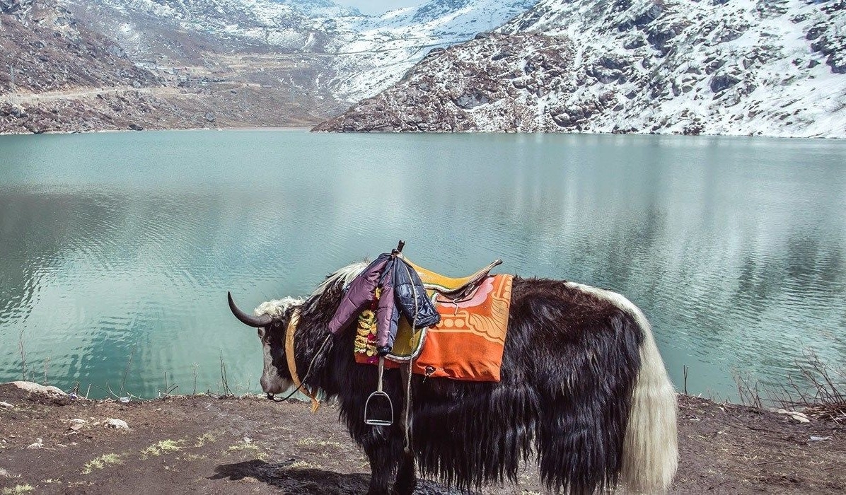 Gangtok- Paradise on earth