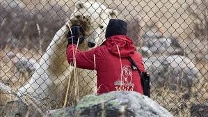 Heartbreaking tragedy, a man killed by Bear while protecting his children.