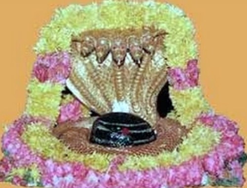 Worship of Lord Mallikarjun is beneficial for Taurus zodiac sign related person