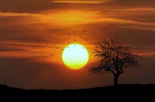 Be careful! Do not do 'this work' at sunset?