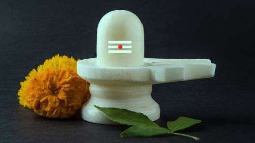 Do not use ‘these materials’ in Shiva Pooja!