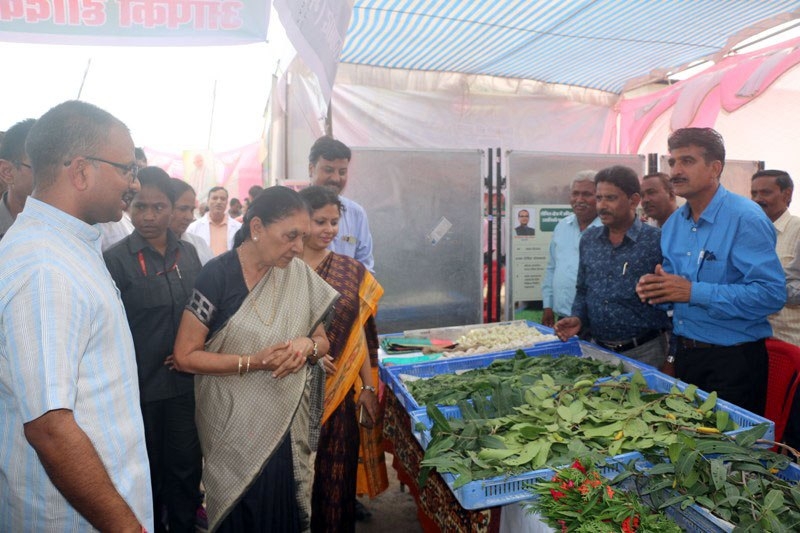 Farmers should undertake animal husbandry with agriculture to enhance income: Governor Smt. Patel