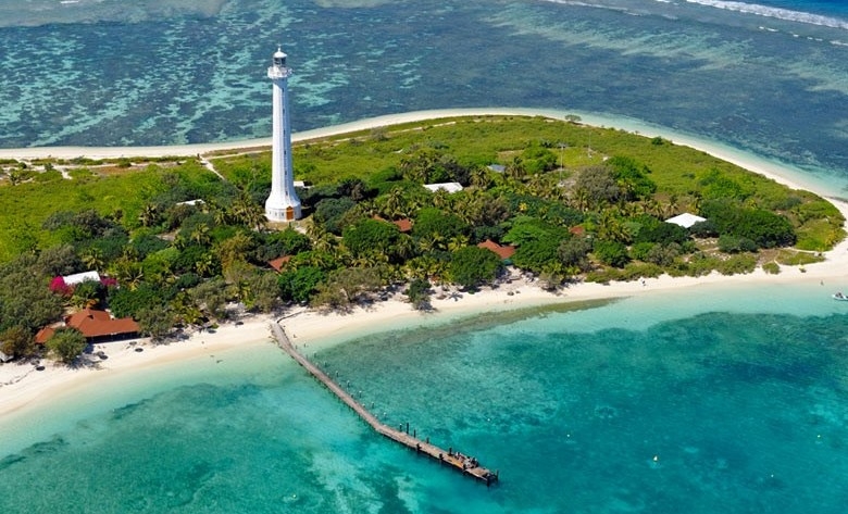 These Mosquito Free Islands make you feel good! 