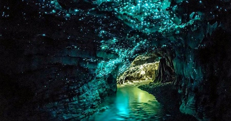 Mysterious Cave: Shining like stars inside this amazing cave in New Zealand