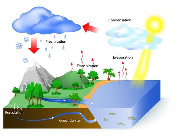 The Water Cycle