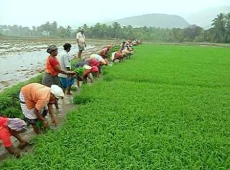 किसानों को राहत: मौसम विभाग ने की इस साल सामान्य मॉनसून की घोषणा