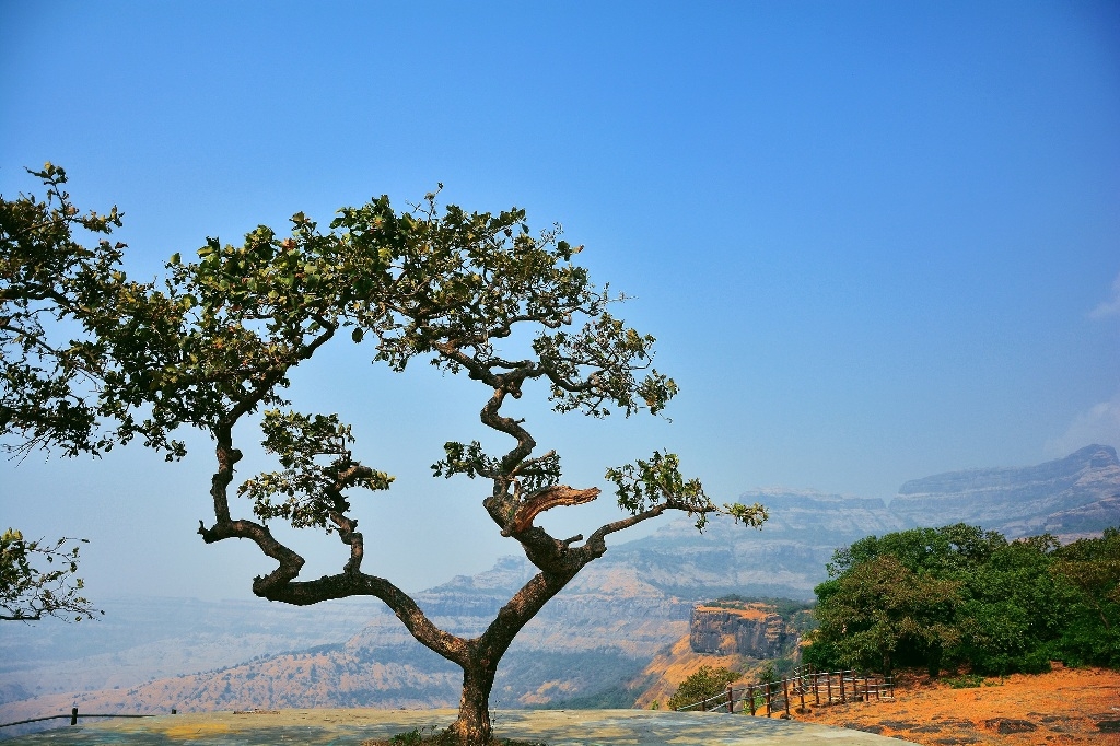 Experience these beauty spots of Maharashtra this monsoon! 