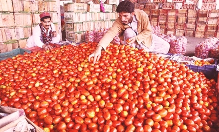 पाकिस्तान में 300 रुपये किलो तक पहुंचे टमाटर के दाम
