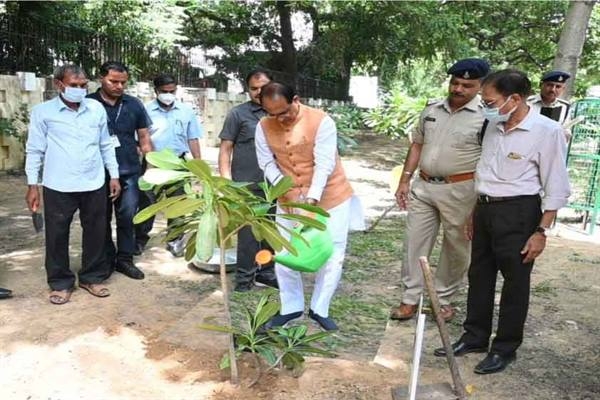 CM Chouhan planted sapling during his stay in Delhi
