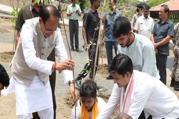 CM Chouhan plants Banyan, Neem and Karanj saplings