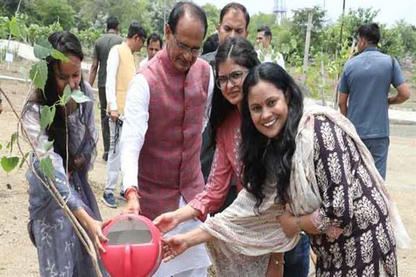 Chief Minister Chouhan planted saplings of Peepal, Neem and Kadamba