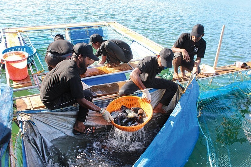 Fish, not beef is Goa s preferred cuisine: Minister
