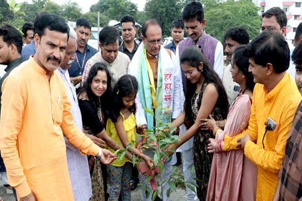 CM Shri Chouhan plants Neem, Moulshri and Gular saplings