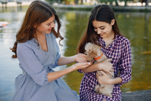 World Animal Welfare Day - A Call for Compassion.