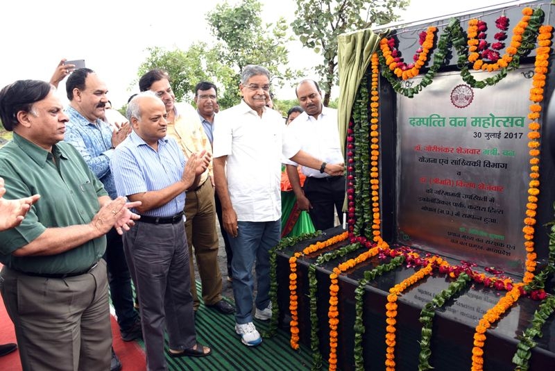Widespread public support to plantation efforts in state : Dr. Shejwar
