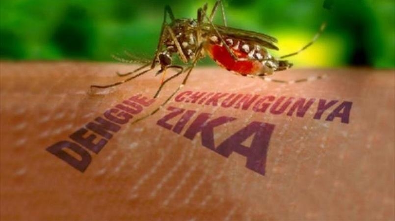 Climate change may spur diseases like zika, malaria, dengue