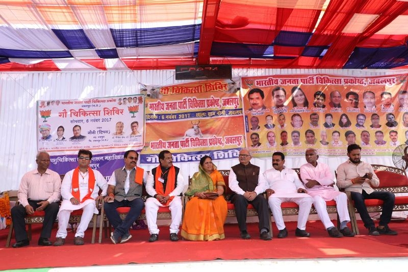BJP Medical Cell organises Cow Health Camp  