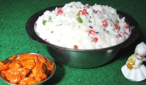 Curd Rice 