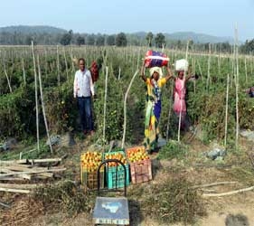 Annual turnover of Ma Kankali Krishi Samuh is Rs 4 crore