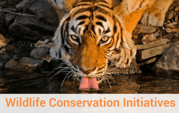 Madhya Pradesh, a Leader in Wild Life Conservation
