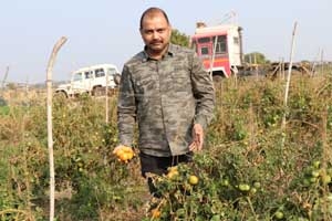 Barren Land Becomes Fertile from Drip Irrigation