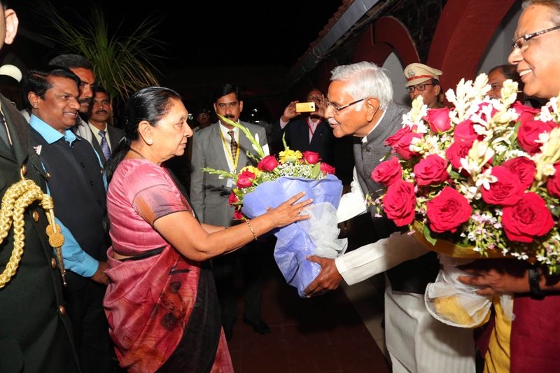SMT. ANANDIBEN MAFATBHAI PATEL (Bio-Data)