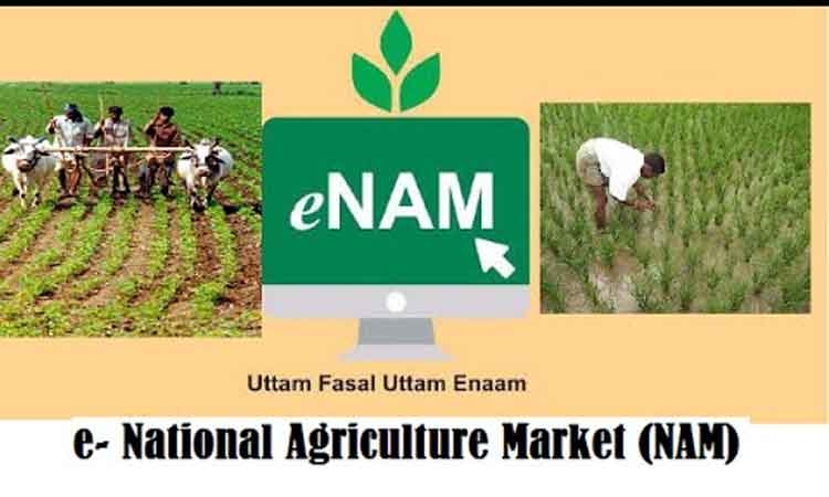 58 mandis of state connect with National Agriculture Market Scheme