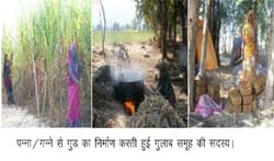 Jaggery business helps Gulab self-help group flourish