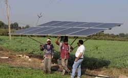 Farmer Radheshyam used solar pump for irrigation in wheat and gram crops