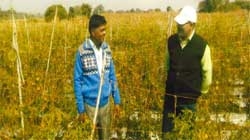 Horticulture farming turns farmers’ favourite