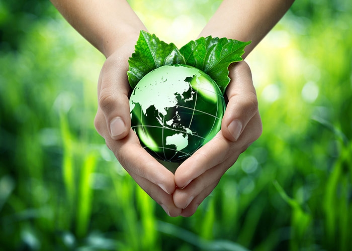 Protection of greenery is a must to save the Earth