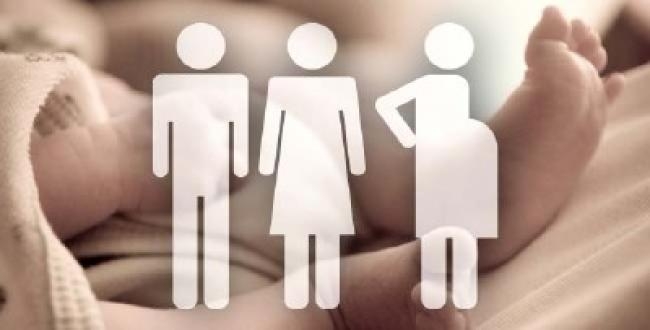 Cabinet approves moving official amendments in the Surrogacy (Regulation) Bill 2016