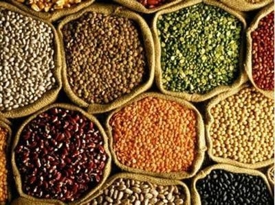 Purchase of gram, masoor, mustard will be on MSP