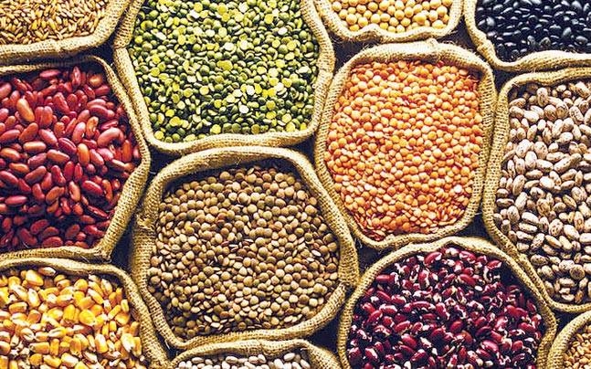 Purchase of over 10 lakh metric ton pulses in state
