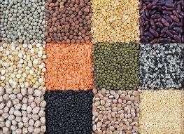 Procurement of 82.28 lakh MT wheat, gram, lentil and mustard on Support Price
