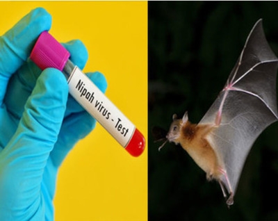 Nipah: State government issues advisory