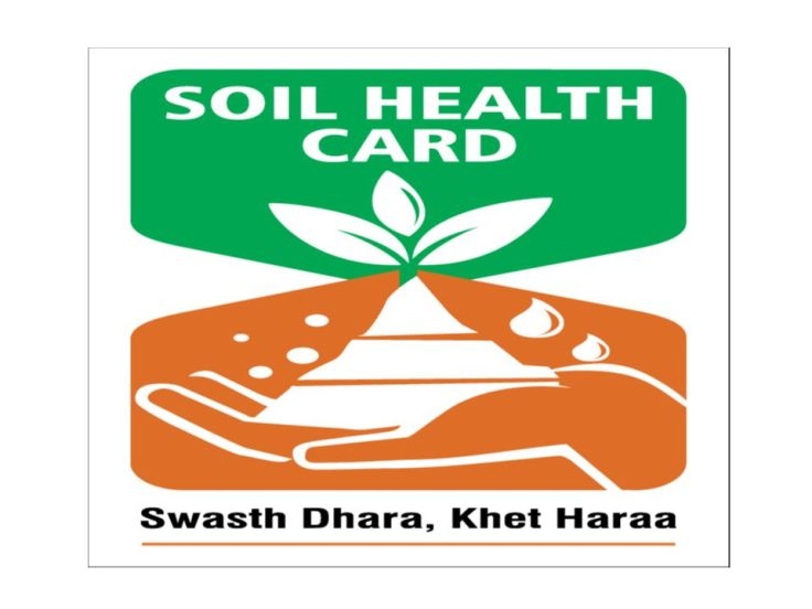 Soil health cards given to over 90 lakh farmers to enhance agriculture productivity