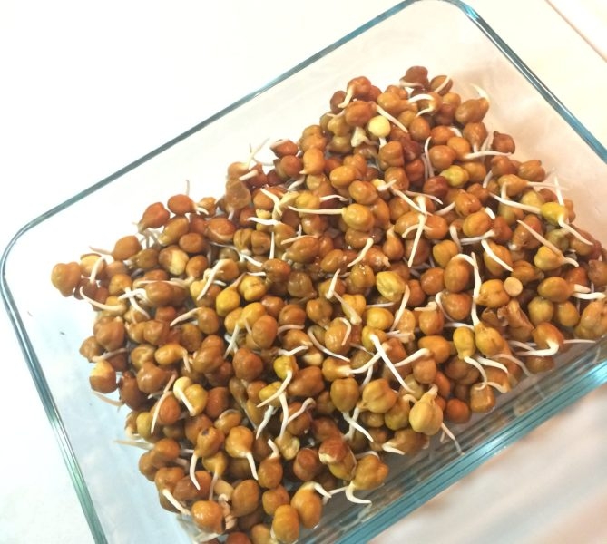 Amazing benefits of eating handful sprouted black chickpeas every morning