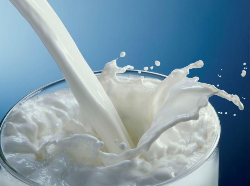 Adequate milk and exercise increases level of Vitamin D 