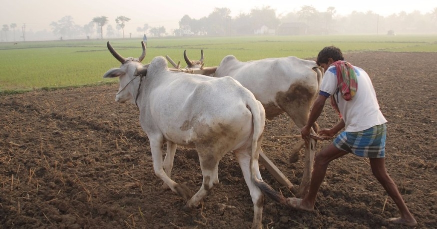 Cabinet approves increase in MSP of Kharif Crop, including other farmer welfare steps   