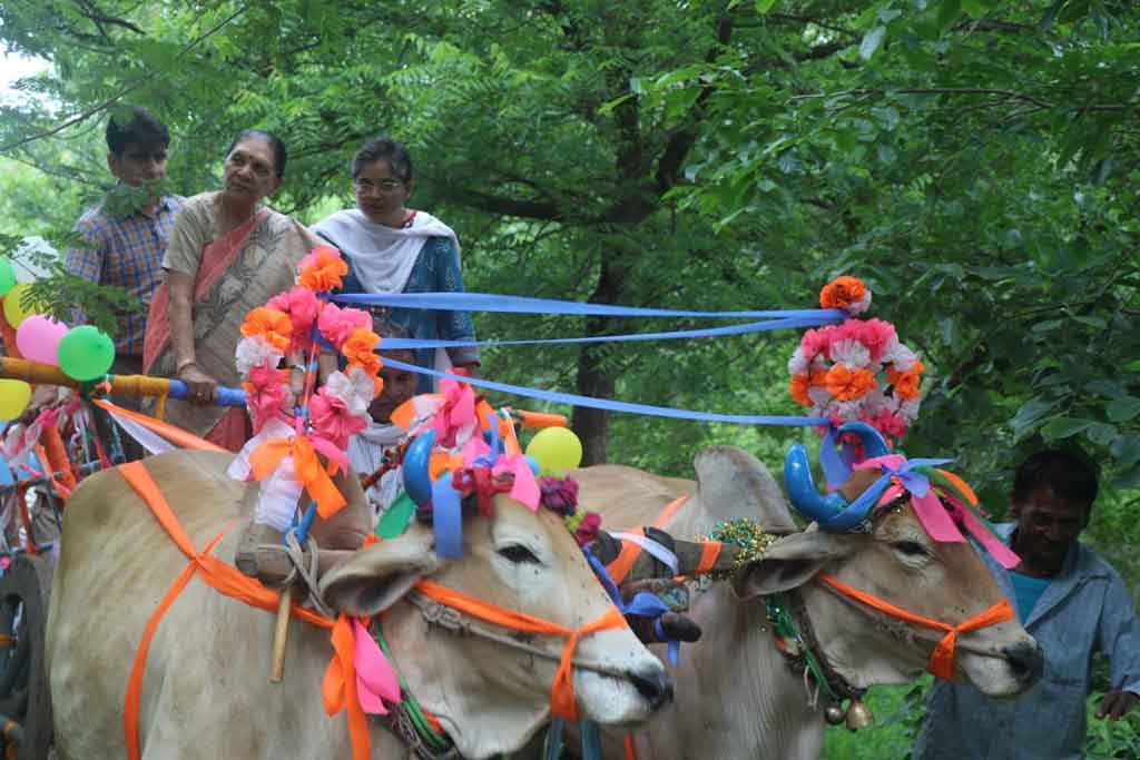 Governor Smt. Patel enjoys bullock cart safari in Khargone’s Astha gram