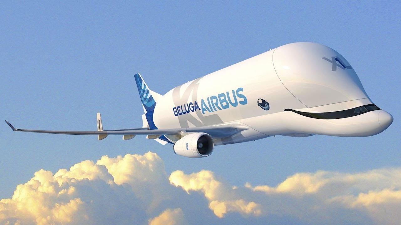 A plane that looks like a whale