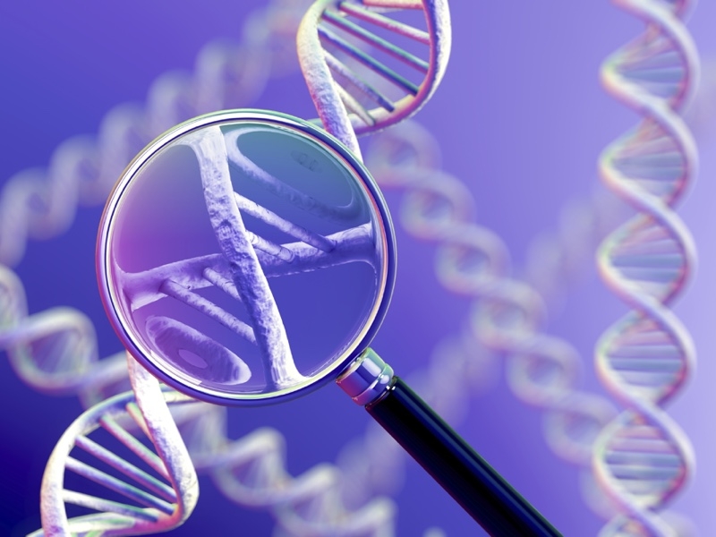 Future of genetic engineering in humans