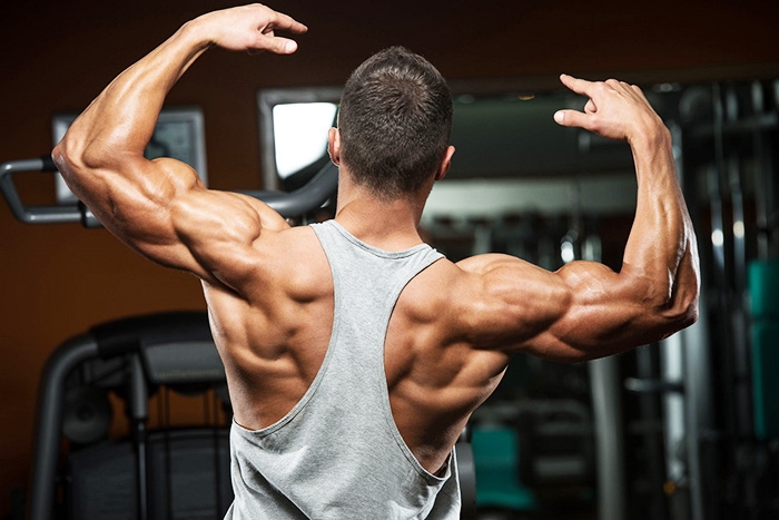 Secrets for Building muscle for Beginners