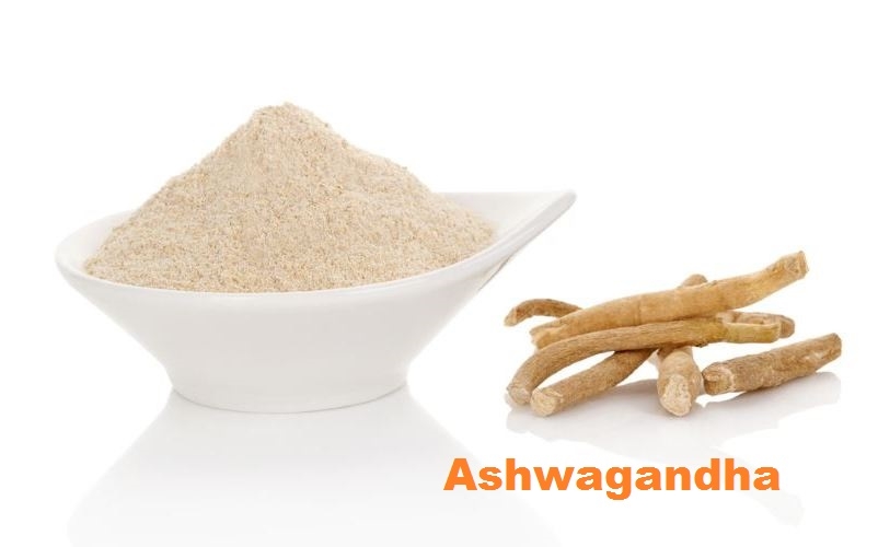 “Ashwagandha”:  Panacea for Physical wellness in ayurveda