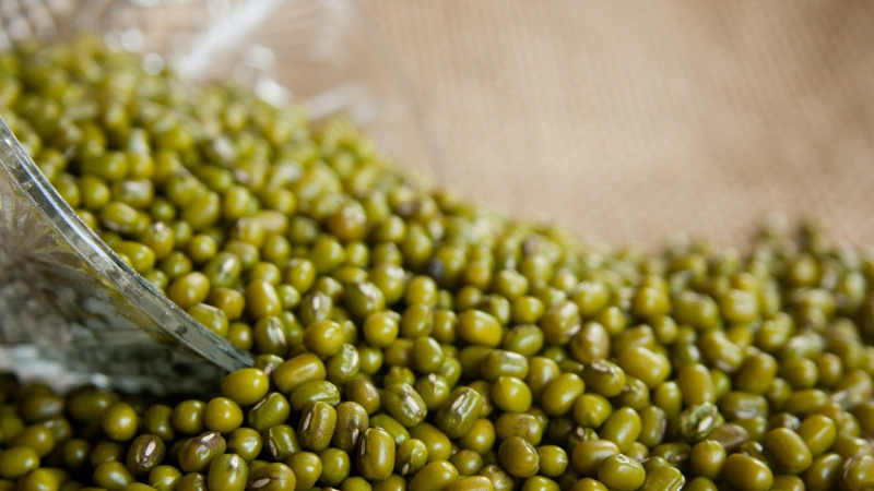 Distribution of Incentive amount for Moong and Urad crops among registered farmers