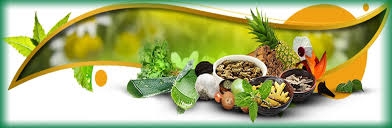 AYURVEDIC HERBAL DIET FOR HEALTHY LIVING-DAY 9