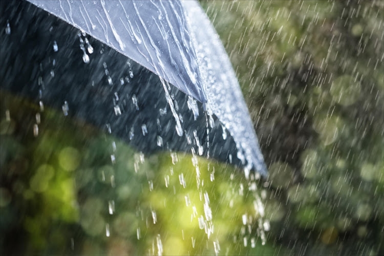 Above normal rainfall in 4 districts of state, normal rains recorded in 33 districts